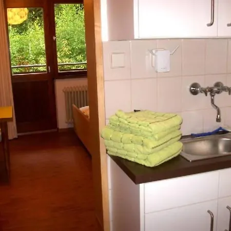 Schlesierhaus * Dachsberg im Schwarzwald