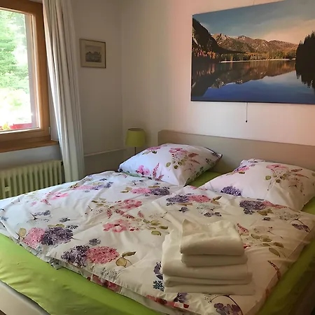 Schlesierhaus * Dachsberg im Schwarzwald