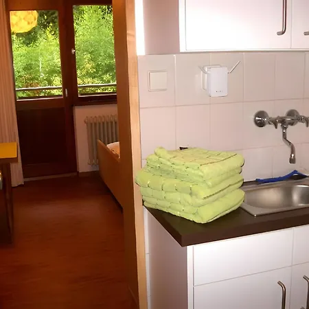 Schlesierhaus * Dachsberg im Schwarzwald