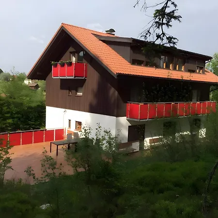Apartman Schlesierhaus Dachsberg im Schwarzwald