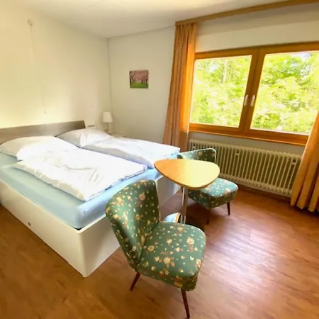Apartman Schlesierhaus *