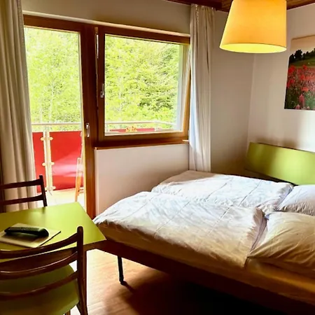 Schlesierhaus Daire Dachsberg im Schwarzwald